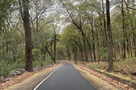 Check out this 10 yummy breakfast recipes